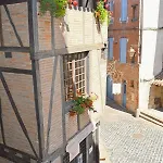 Le Chaud Vin - Centre Historique - Zone Unesco - Animaux Acceptes * 阿尔比