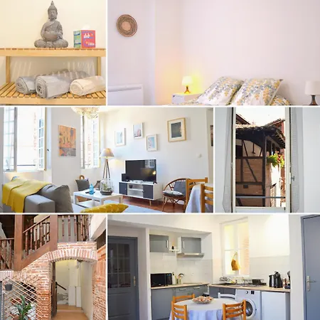 Le Chaud Vin - Centre Historique - Zone Unesco - Animaux Acceptes Daire Albi