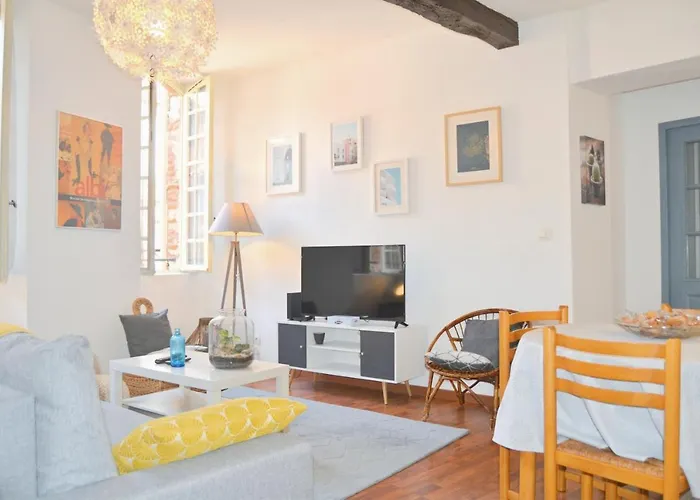 Апартаменты Le Chaud Vin - Centre Historique - Zone Unesco - Animaux Acceptes Альби